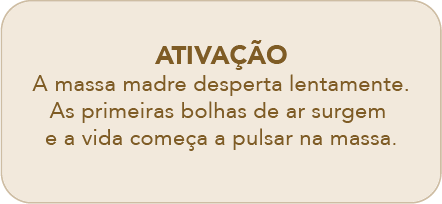 Ativação Panettone Trentasei